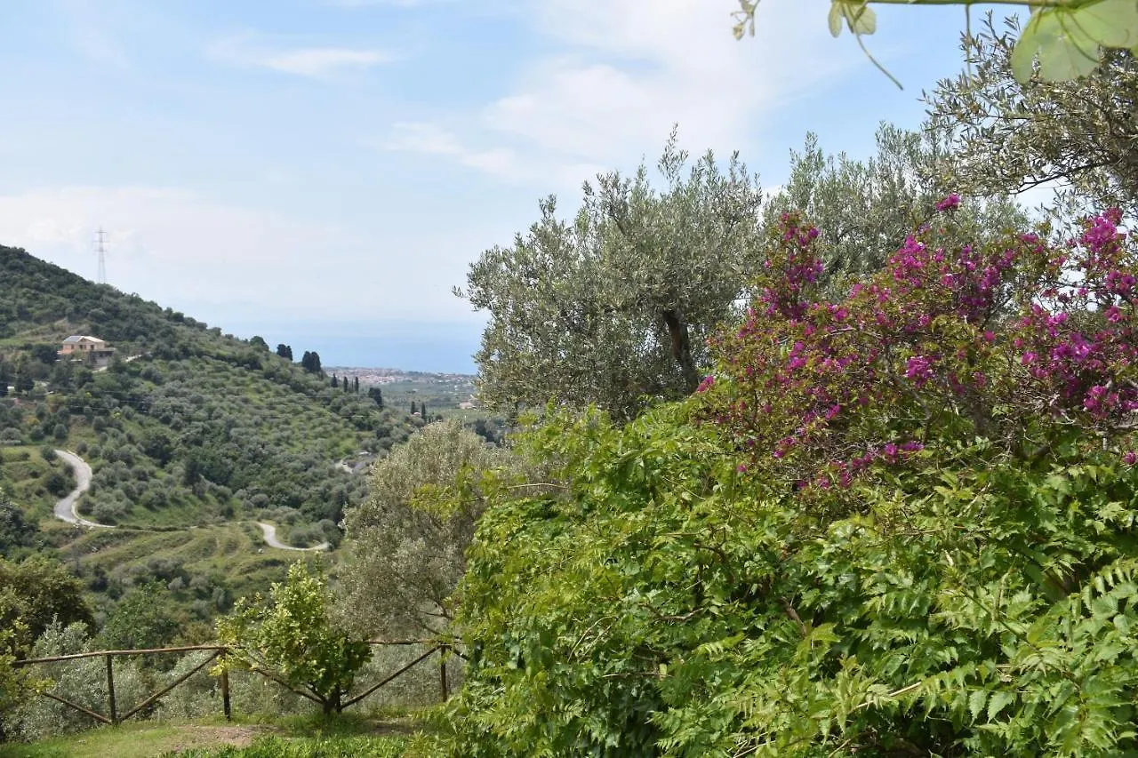 Chalet Tra Gli Ulivi: • Giardino • Wifi • A/C • Bbq Βίλα Capri Leone