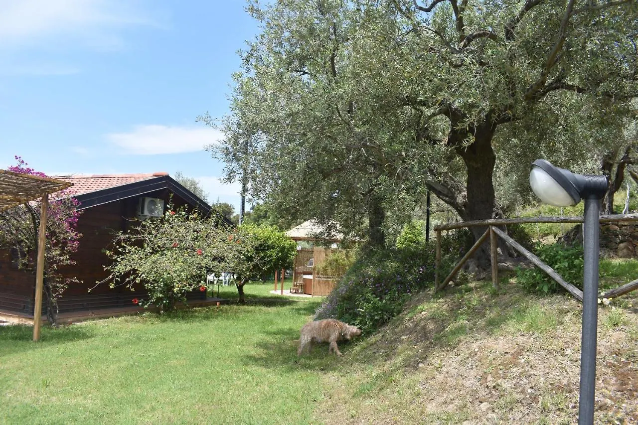 Chalet Tra Gli Ulivi: • Giardino • Wifi • A/C • Bbq Βίλα Capri Leone