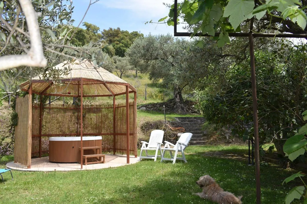 Chalet Tra Gli Ulivi: • Giardino • Wifi • A/C • Bbq Villa Capri Leone