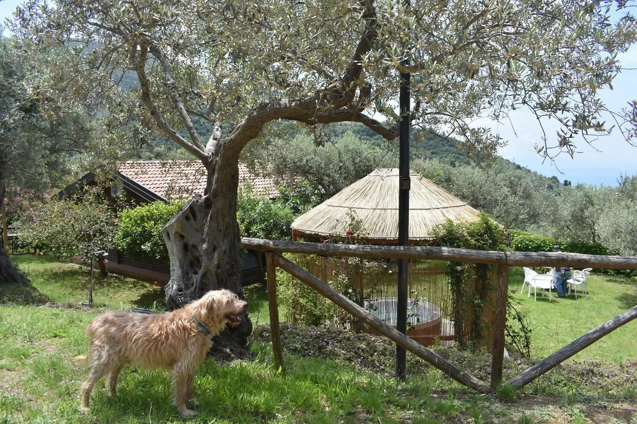 Chalet Tra Gli Ulivi: • Giardino • Wifi • A/C • Bbq Villa Capri Leone