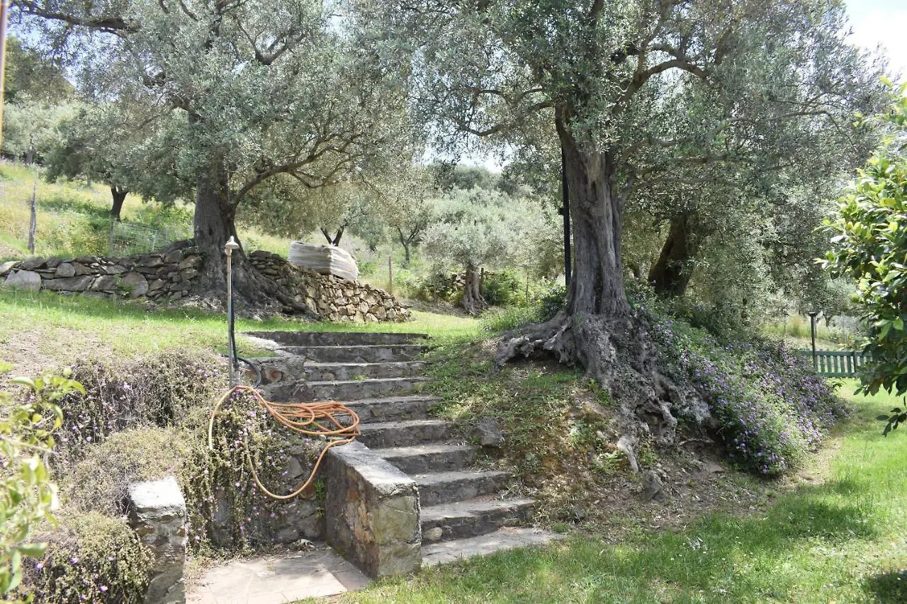 Chalet Tra Gli Ulivi: • Giardino • Wifi • A/C • Bbq Villa Capri Leone 0*,
