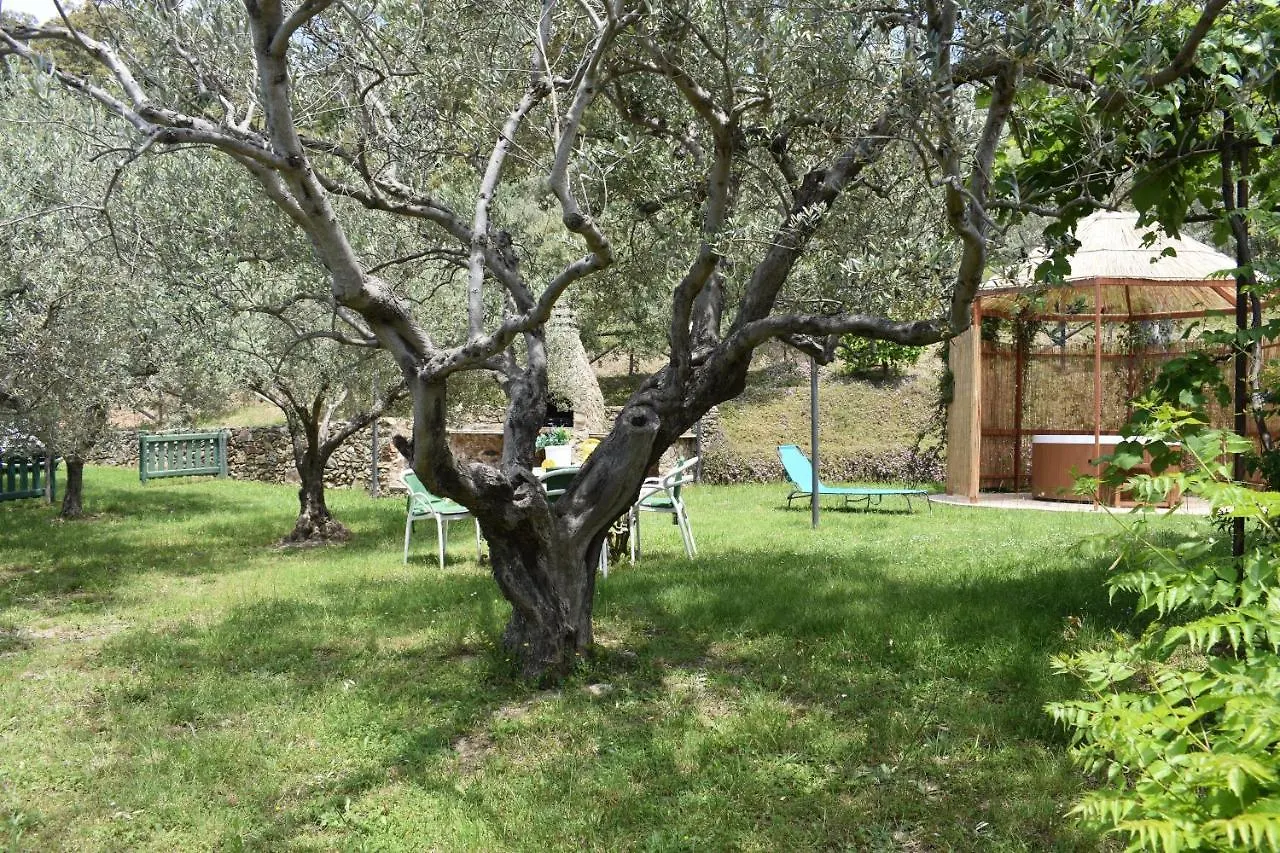 Chalet Tra Gli Ulivi: • Giardino • Wifi • A/C • Bbq Villa Capri Leone Italy