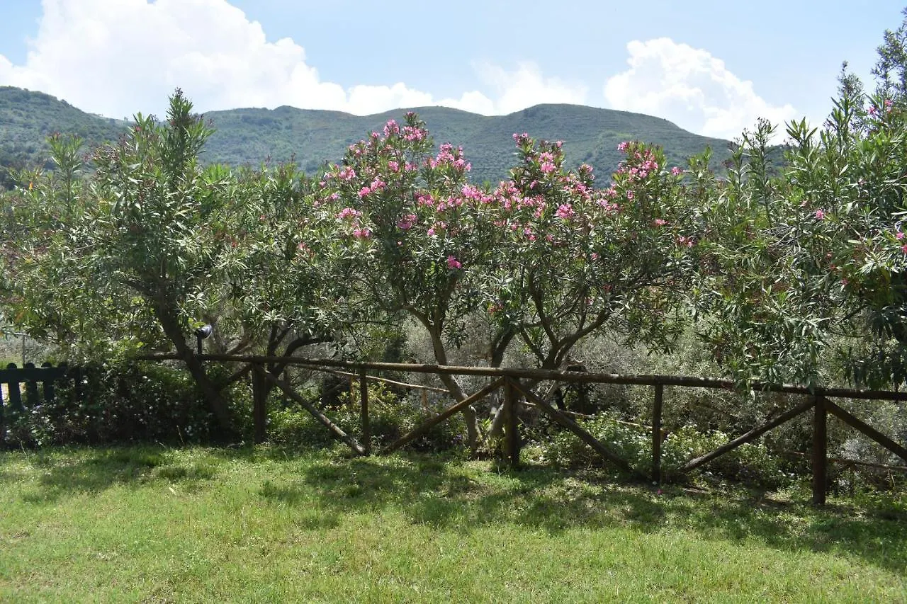 Chalet Tra Gli Ulivi: • Giardino • Wifi • A/C • Bbq Villa Capri Leone